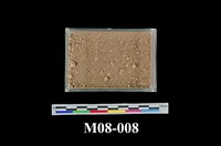 藏品(糞石(糞化石，鳥糞石) )的圖片